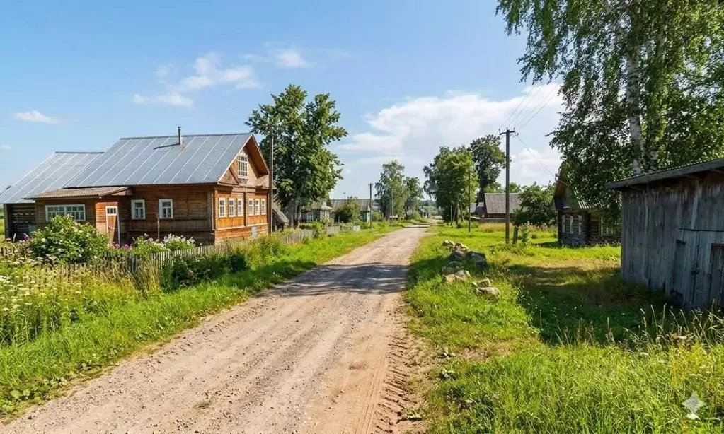 Участок в Вологодская область, Череповецкий район, д. Петрино  (30.0 ... - Фото 1