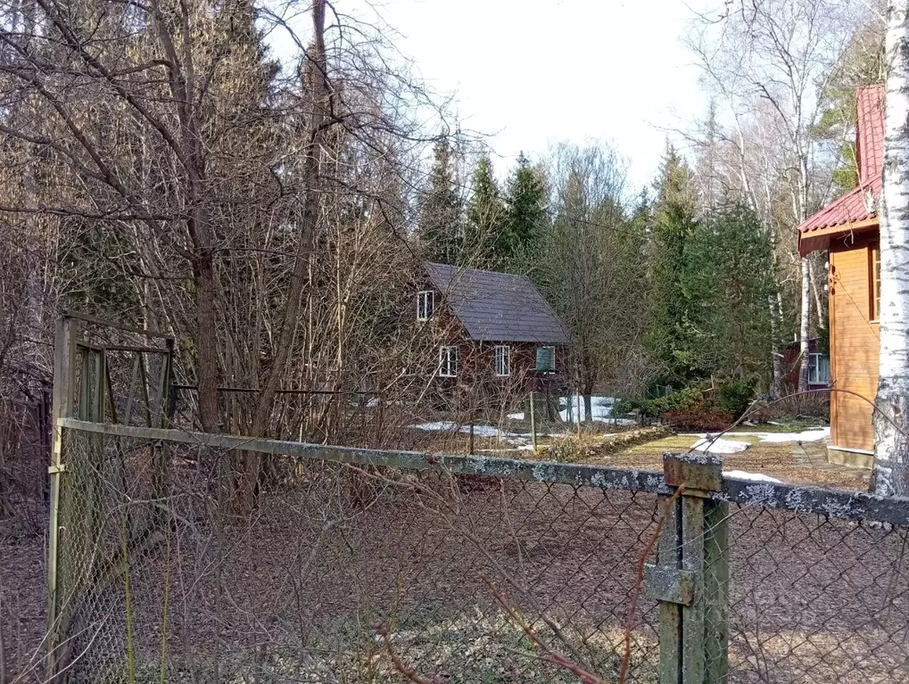 Дом в Московская область, Рузский муниципальный округ, Азотчик садовое ... - Фото 2