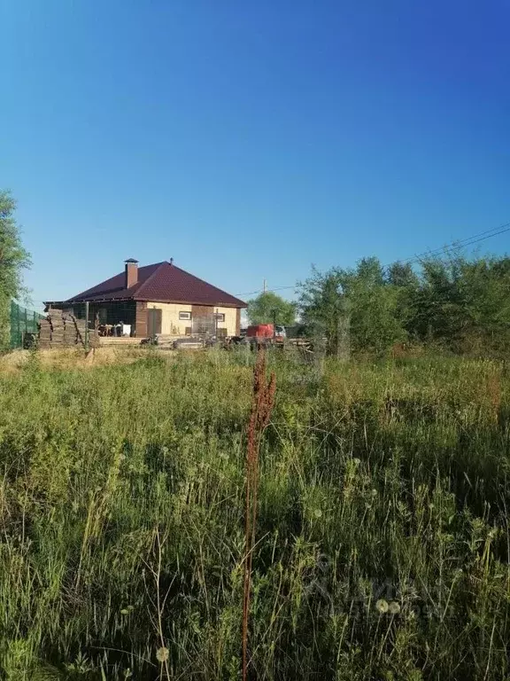Участок в Амурская область, Благовещенский район, с. Чигири ул. ... - Фото 0