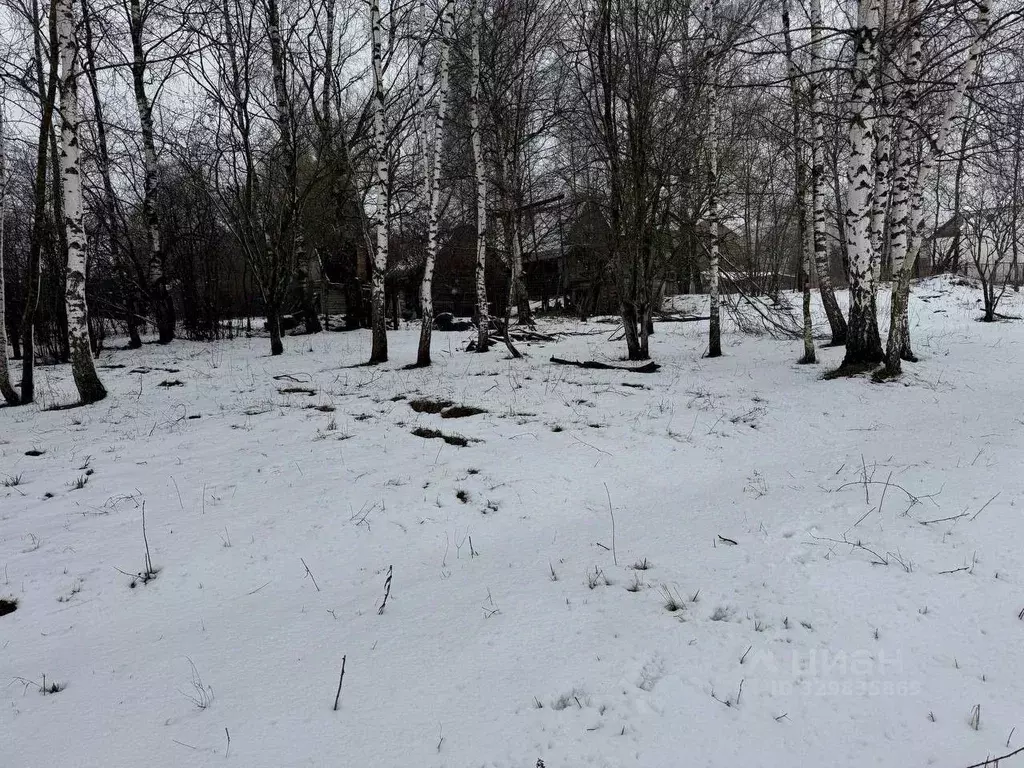 Участок в Московская область, Богородский городской округ, д. Боково ... - Фото 2
