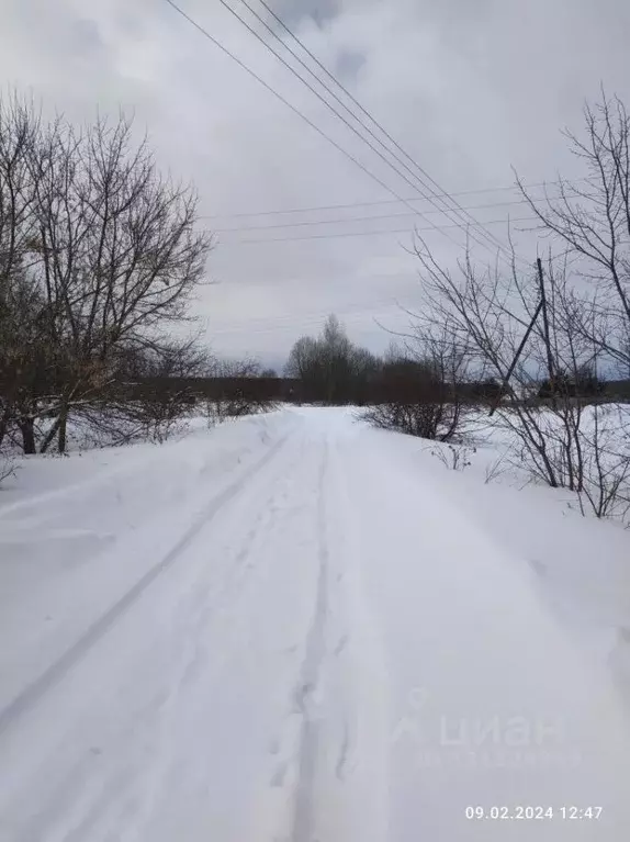 Участок в Тульская область, Веневский муниципальный округ, с. ... - Фото 2