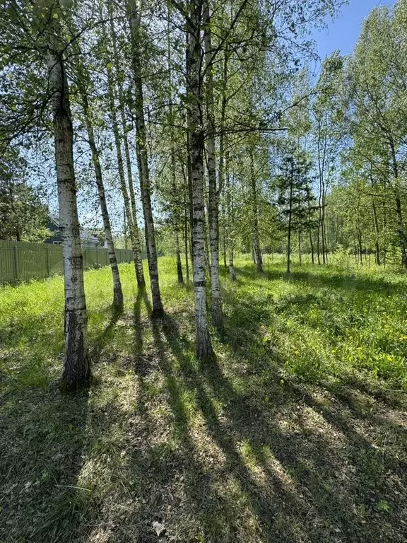 Участок 12 сот. (СНТ, ДНП) - Фото 1