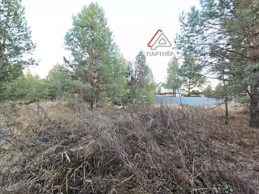 Участок в Ульяновская область, Мелекесский район, Старосахчинское ... - Фото 2