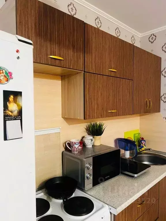 Студия Башкортостан, Уфа ул. Евгения Столярова, 4А (30.0 м) - Фото 2