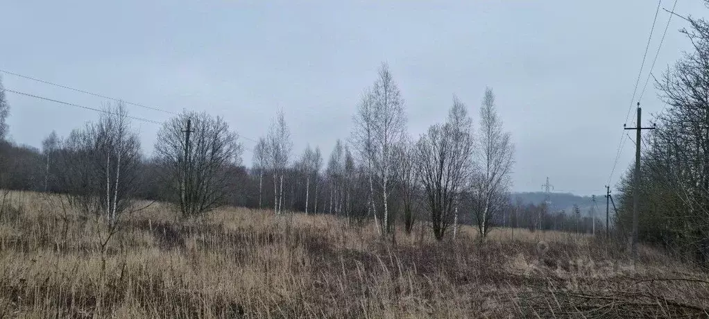 Участок в Тульская область, Тула городской округ, д. Прудное  (1440.0 ... - Фото 0