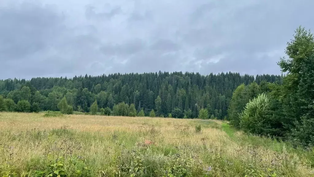 Дом в Свердловская область, Шалинский муниципальный округ, с. Чусовое ... - Фото 2