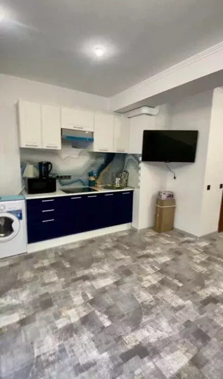 Студия Крым, Ялта муниципальный округ, Отрадное пгт ул. Отрадная, 28 ... - Фото 2