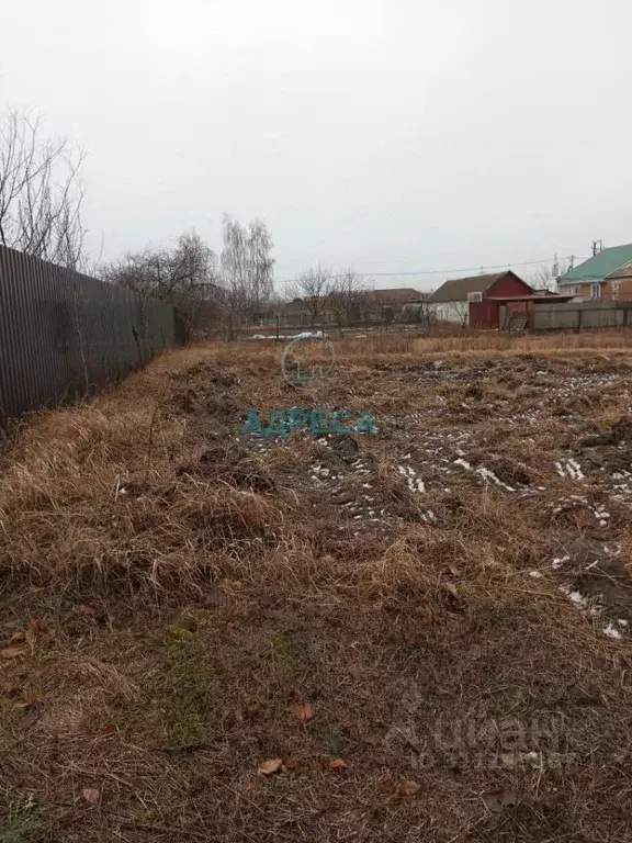 Участок в Белгородская область, Поселок Чернянка городское поселение, ... - Фото 1