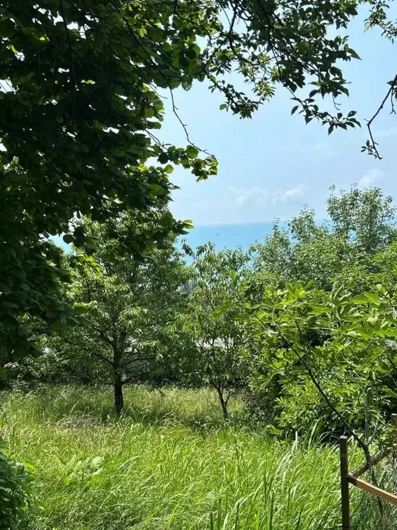 Участок в Краснодарский край, Сочи Лазаревское жилрайон, ул. Моряков, ... - Фото 0