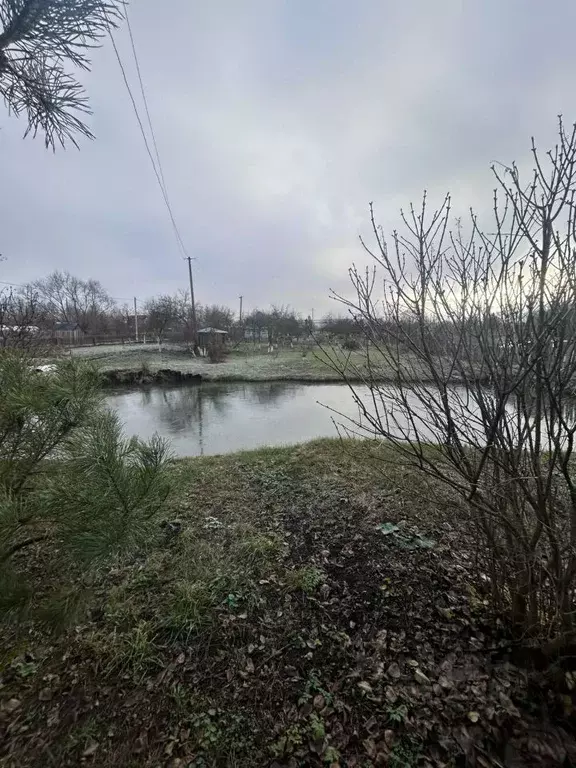 Участок в Московская область, Зарайск муниципальный округ, д. ... - Фото 1