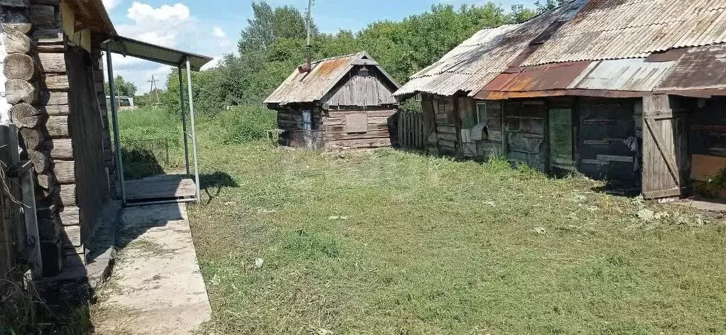 Дом в Алтайский край, Калманский район, с. Новороманово Ленинская ул. ... - Фото 2