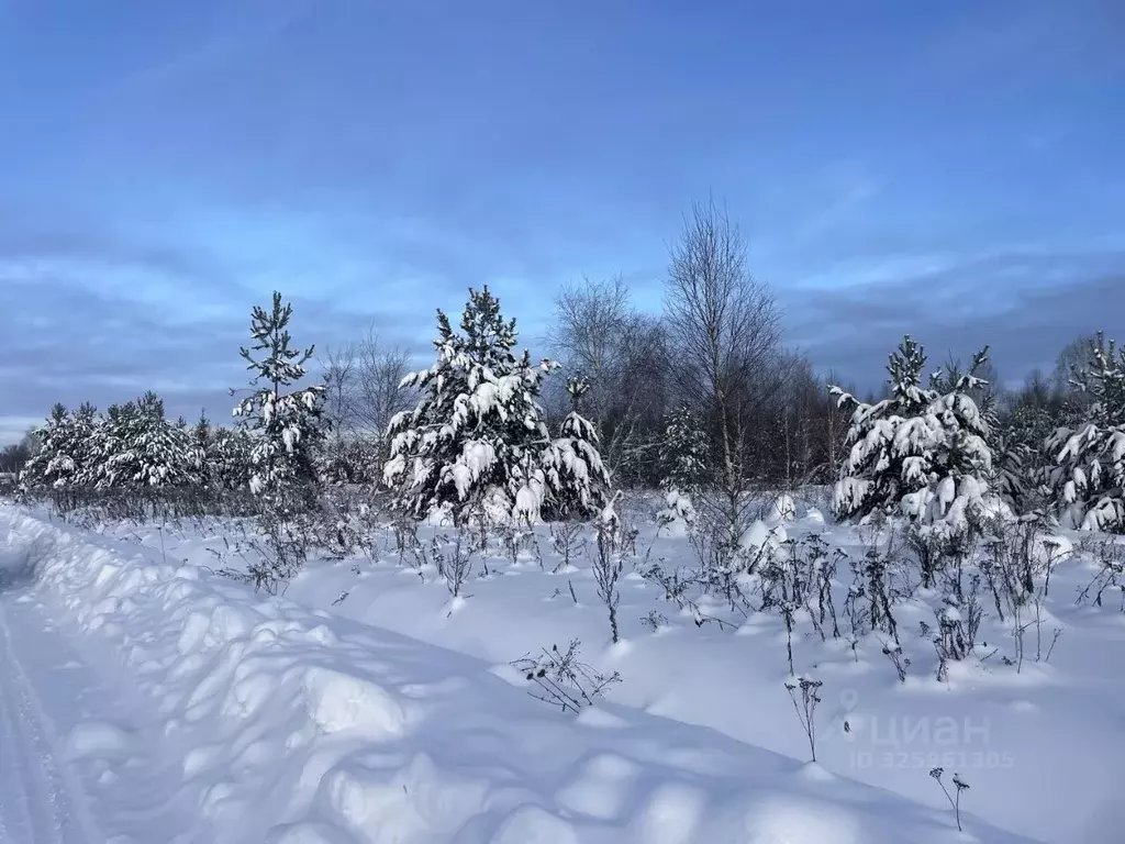 Участок в Московская область, Ступино городской округ, д. Протасово ... - Фото 1