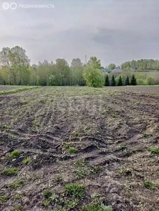 Участок в село Андреевка, улица Николая Островского (13 м) - Фото 1