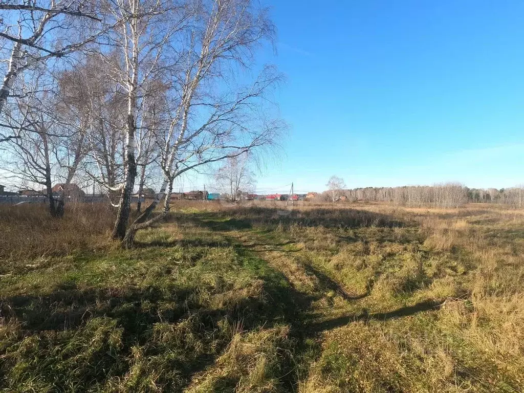 Участок в Томская область, Томский район, с. Курлек  (10.0 сот.) - Фото 1