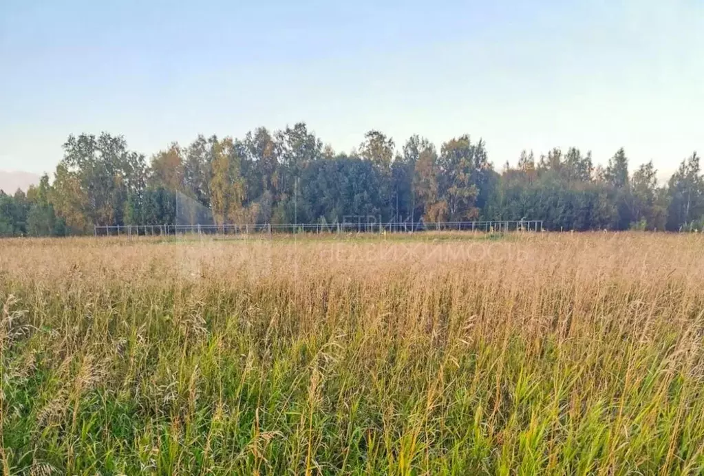 Участок в Тюменская область, Тюменский район, с. Чикча  (10.0 сот.) - Фото 1