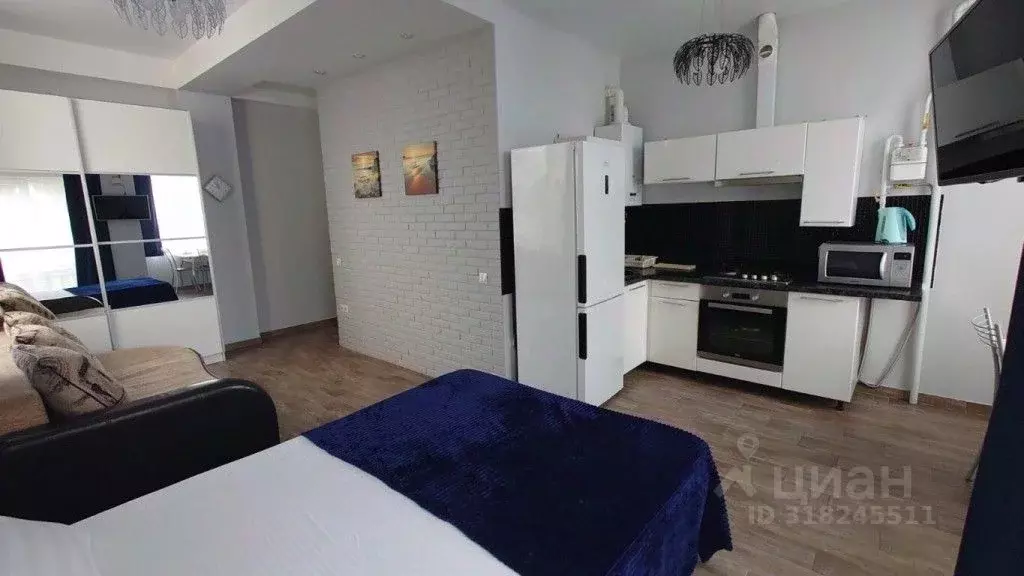 1-к кв. Краснодарский край, Сириус пгт ул. Южных Культур, 10А (35.0 м) - Фото 1