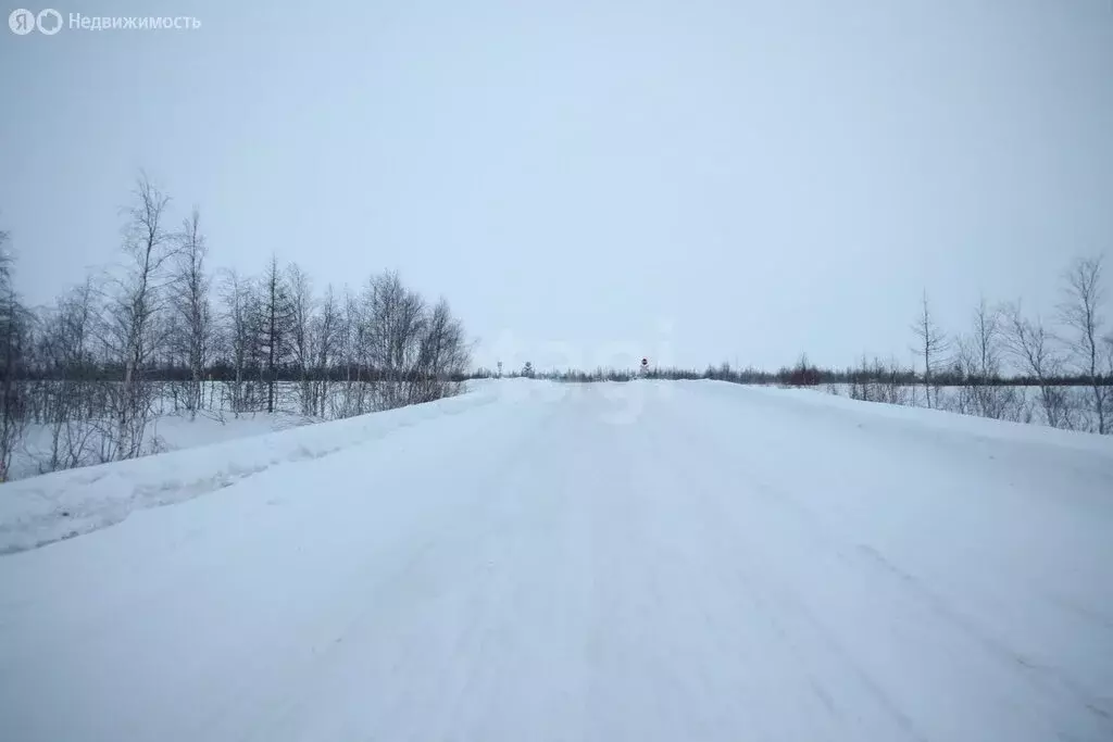 Участок в Новый Уренгой, улица Рахманинова (12 м) - Фото 1