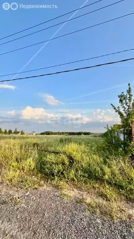 Участок в Нижегородская область, Богородский муниципальный округ, ... - Фото 0