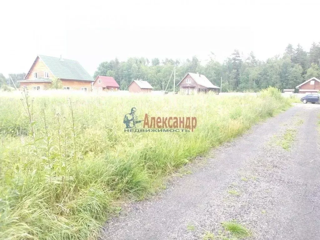 Участок в Ленинградская область, Приозерский район, Раздольевское ... - Фото 2