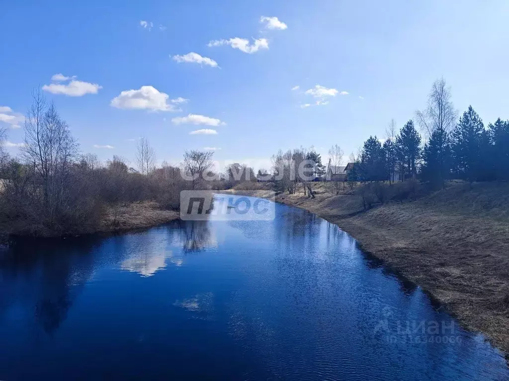 Участок в Новгородская область, Новгородский район, Борковское с/пос, ... - Фото 0