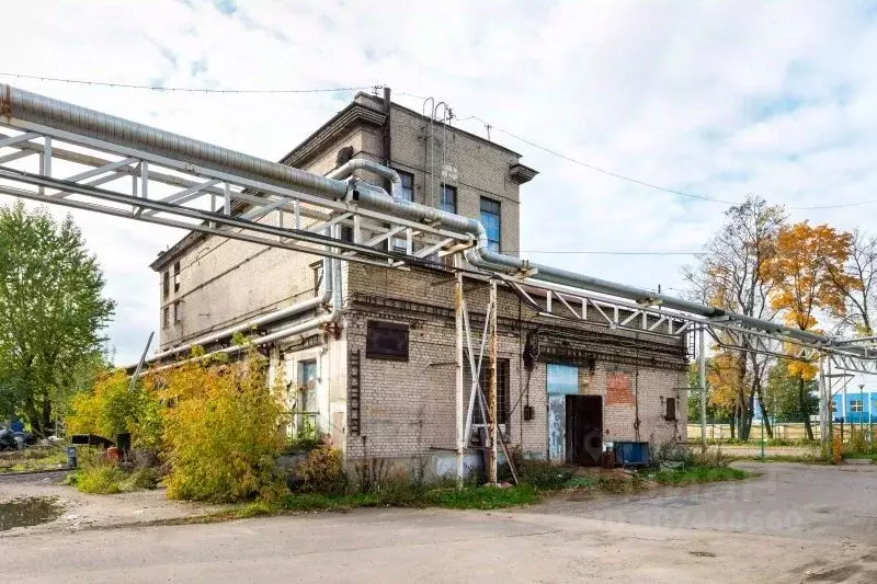 Производственное помещение в Санкт-Петербург ул. Салова, 56У (367 м) - Фото 0