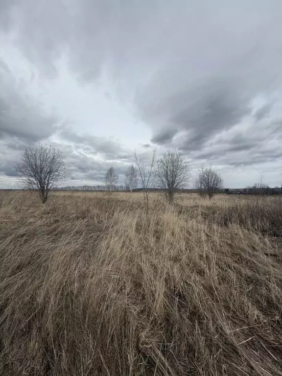 Участок в Нижегородская область, Кстовский муниципальный округ, д. ... - Фото 1