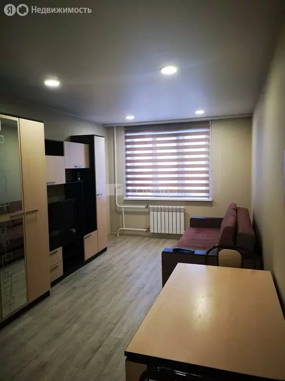 Квартира-студия: Новосибирск, Покатная улица, 130/1 (28 м) - Фото 0