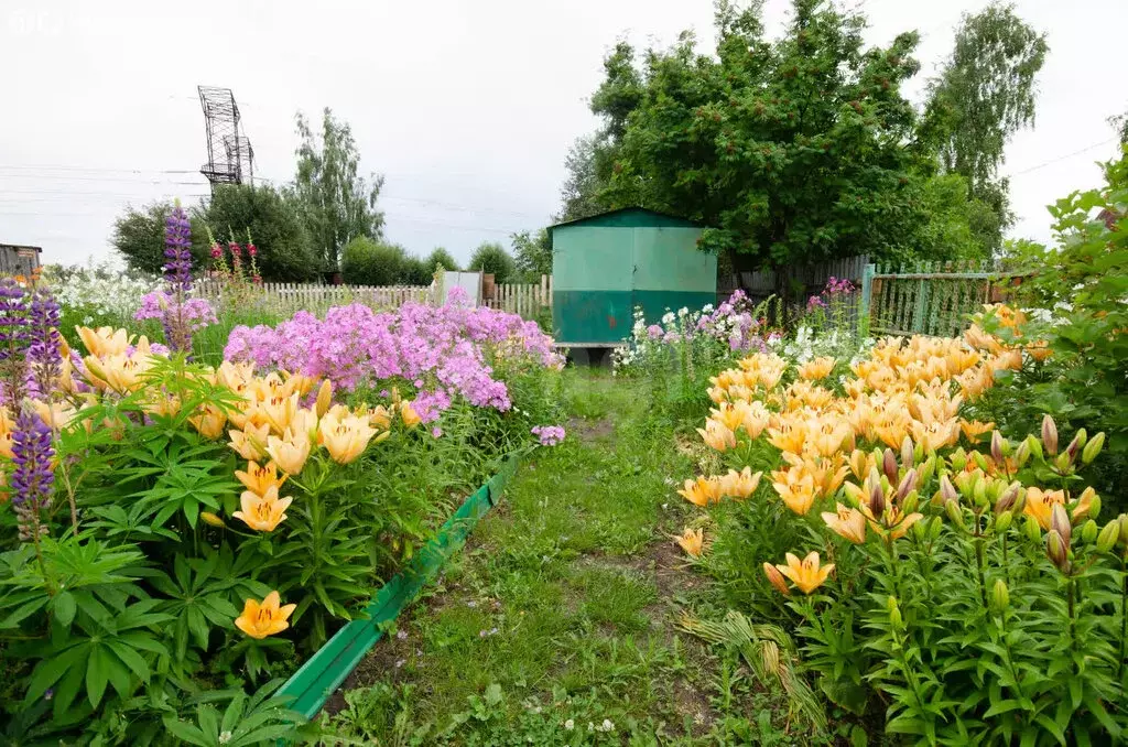 Участок в Заводоуковск, СНТ Раздолье (15 м) - Фото 1