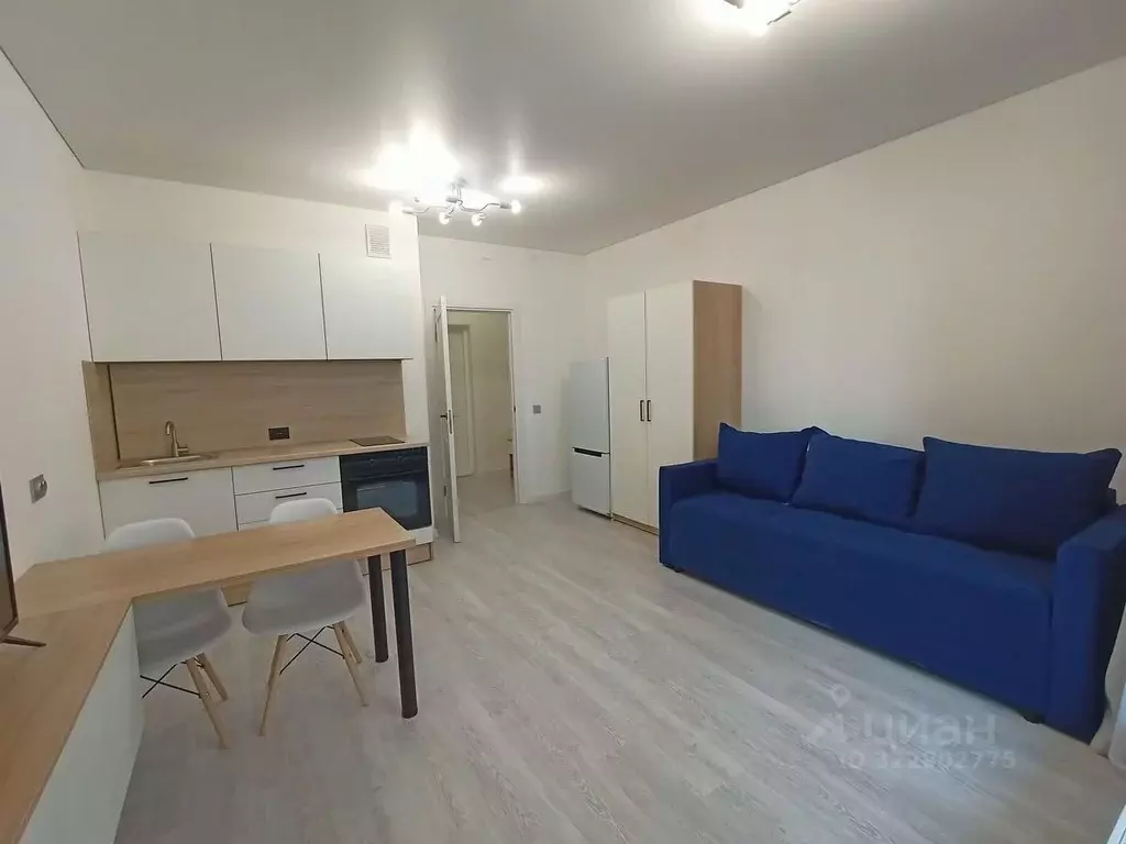 Студия Санкт-Петербург просп. Обуховской обороны, 36 (28.6 м) - Фото 2