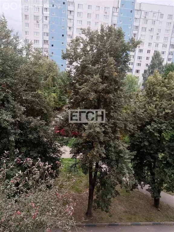 3-комнатная квартира: Москва, Родниковая улица, 18к1 (60 м) - Фото 2