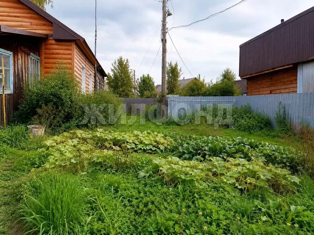 Дом в Алтайский край, Тальменский район, с. Озерки Лесная ул. (39 м) - Фото 2