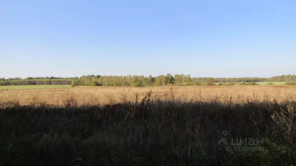 Участок в Московская область, Рузский муниципальный округ, д. Горки  ... - Фото 0