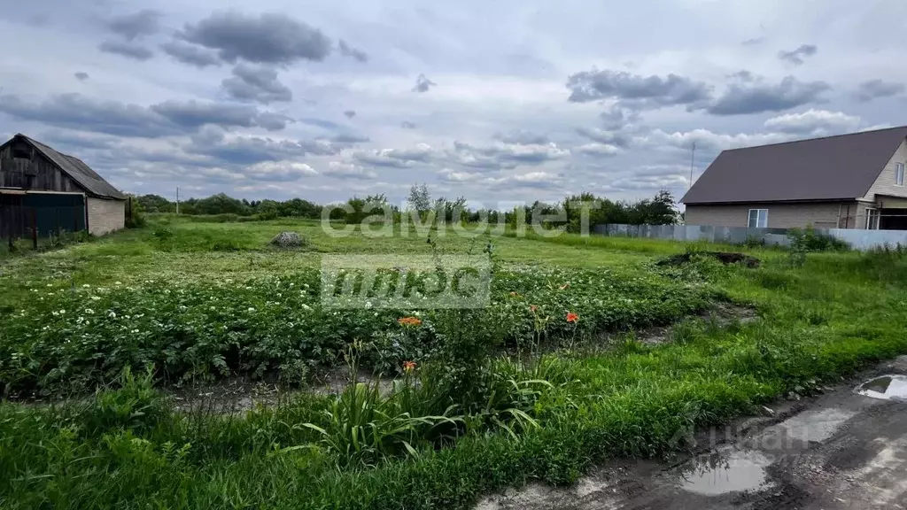 Участок в Пензенская область, с. Бессоновка ул. 2-я Лесная, 9 (18.0 ... - Фото 1