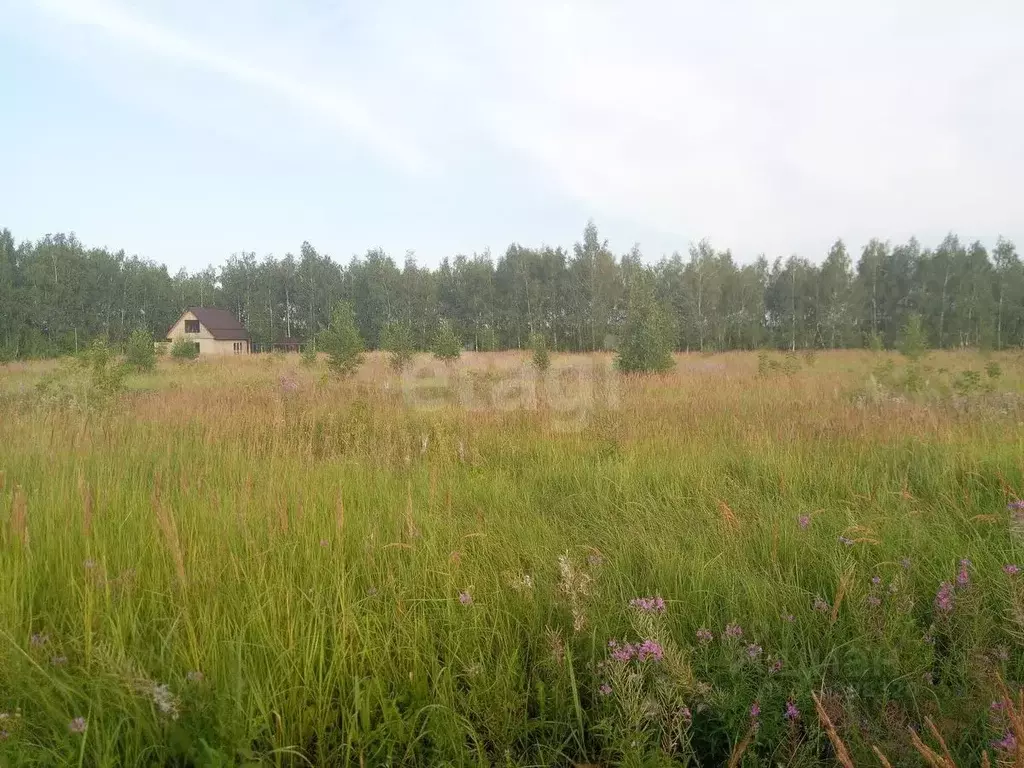 Участок в Тамбовская область, Тамбовский муниципальный округ, д. ... - Фото 1