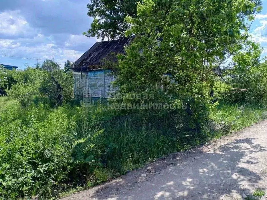 Участок в Новгородская область, Новгородский район, Панковское ... - Фото 2