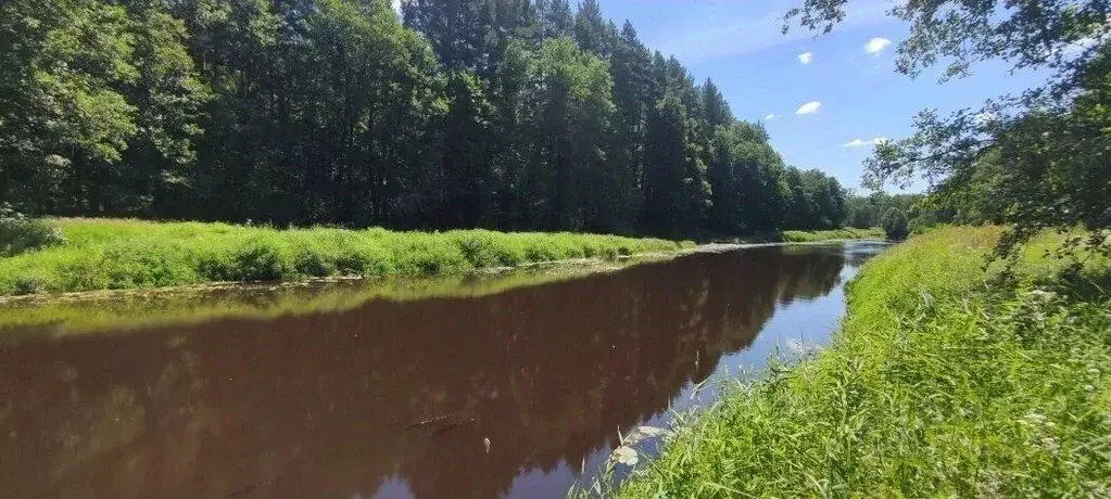 Участок в Рязанская область, Клепиковский район, Алексеевское с/пос  ... - Фото 2