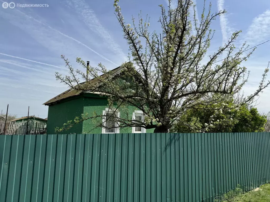 Авито Купить Дом В Дубовке Волгоградской Области