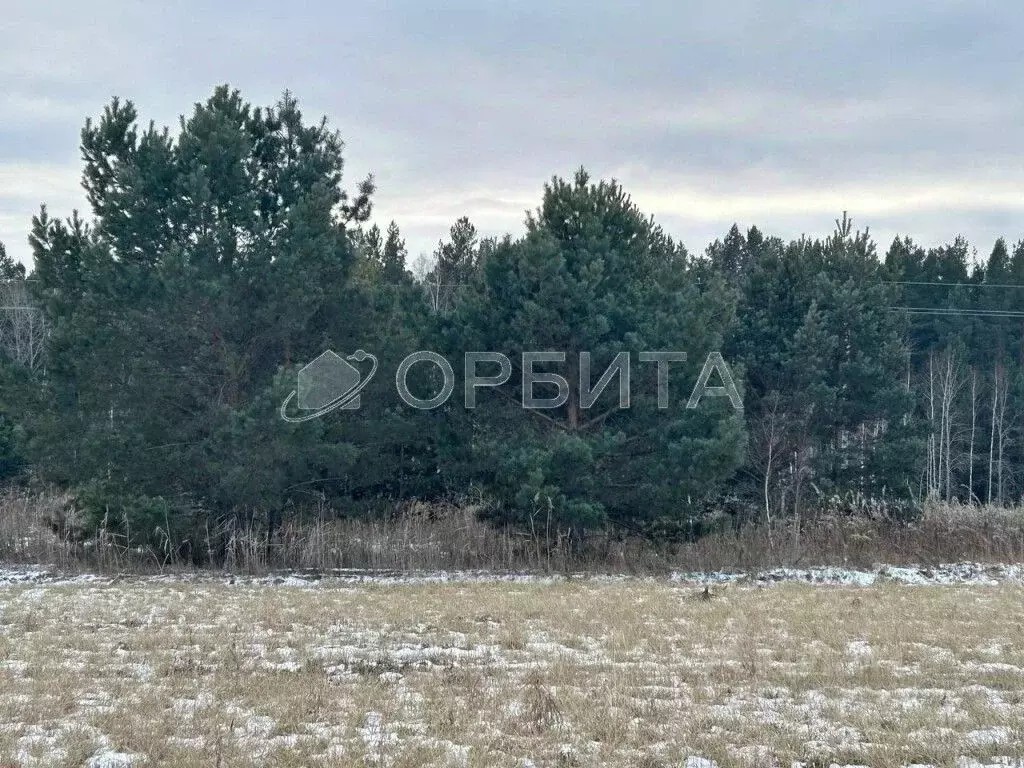 Участок в Тюменская область, Тюменский муниципальный округ, ... - Фото 2