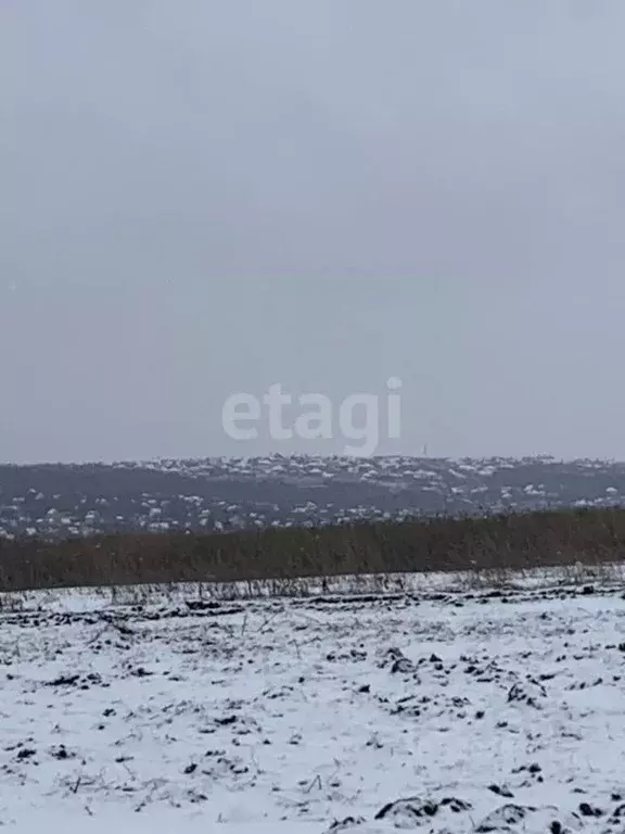 Участок в Белгородская область, Белгородский район, Головинское с/пос, ... - Фото 1