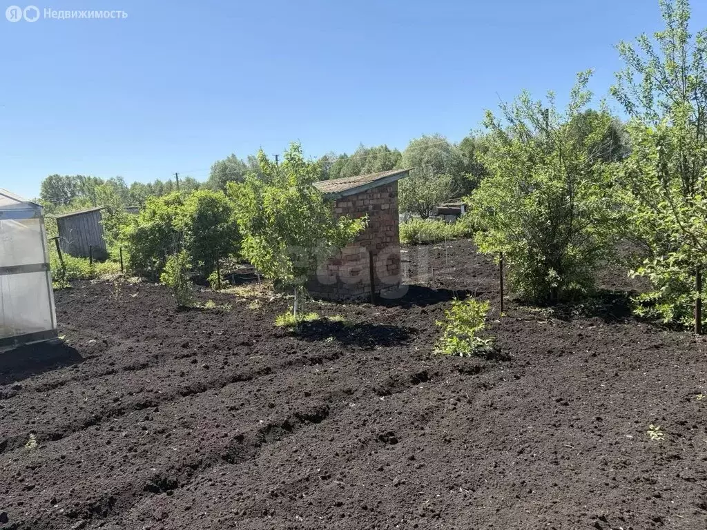 Участок в Отрадовский сельсовет, СНТ Восход (6.84 м) - Фото 2