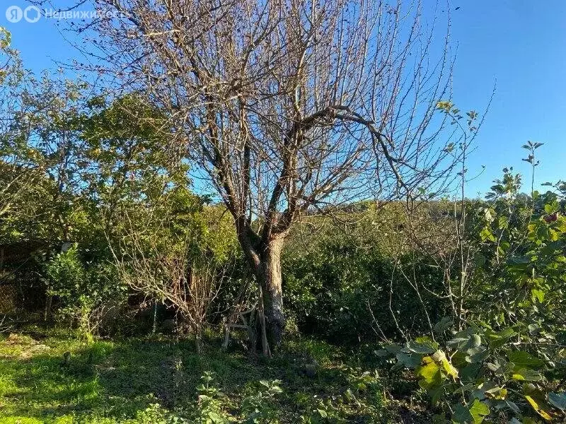 Дом в Сочи, Енисейская улица (103.8 м) - Фото 1