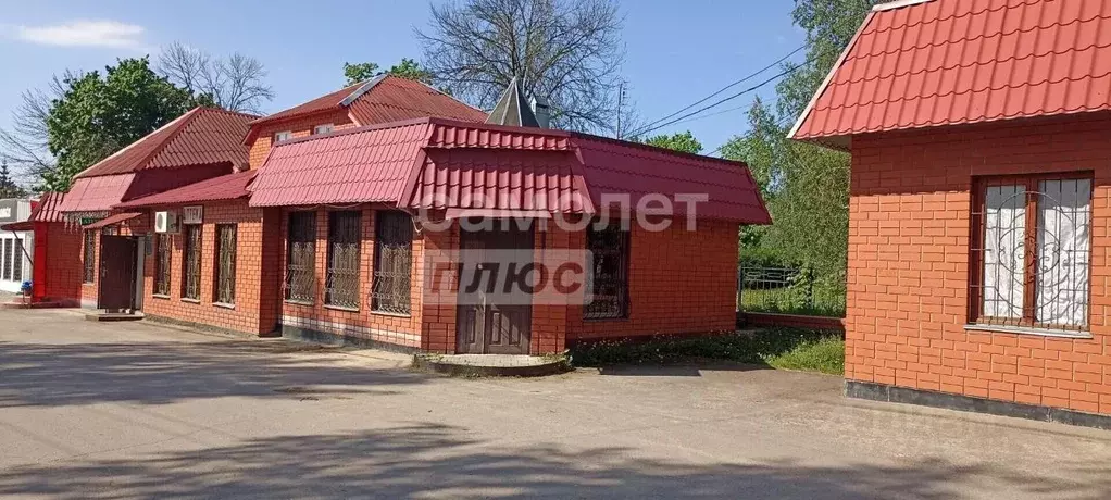 Торговая площадь в Воронежская область, с. Нижнедевицк ул. Чижова, 2И ... - Фото 1