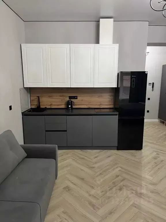 Студия Карачаево-Черкесия, Теберда Карачаевский городской округ, ул. ... - Фото 2