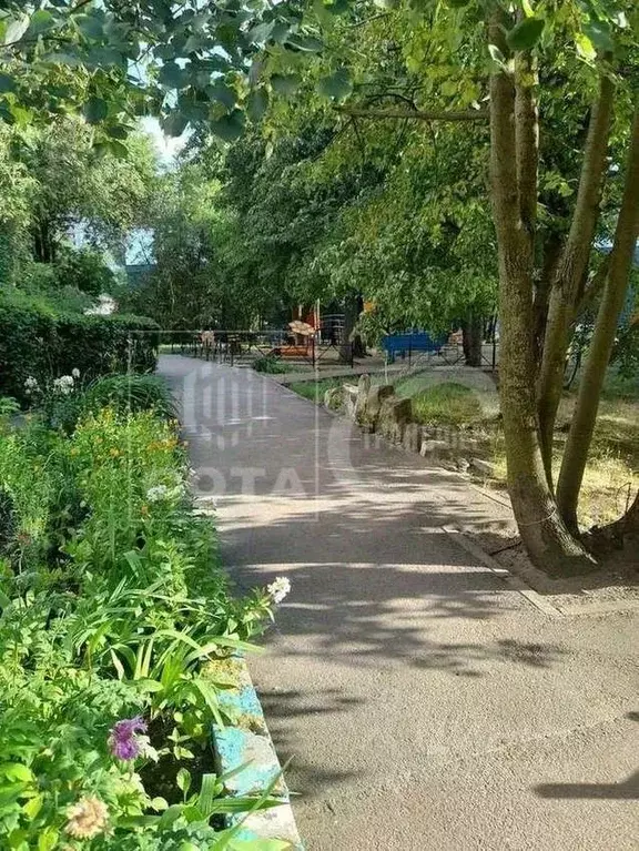 3-к кв. Воронежская область, Воронеж ул. Торпедо, 13А (59.0 м) - Фото 2