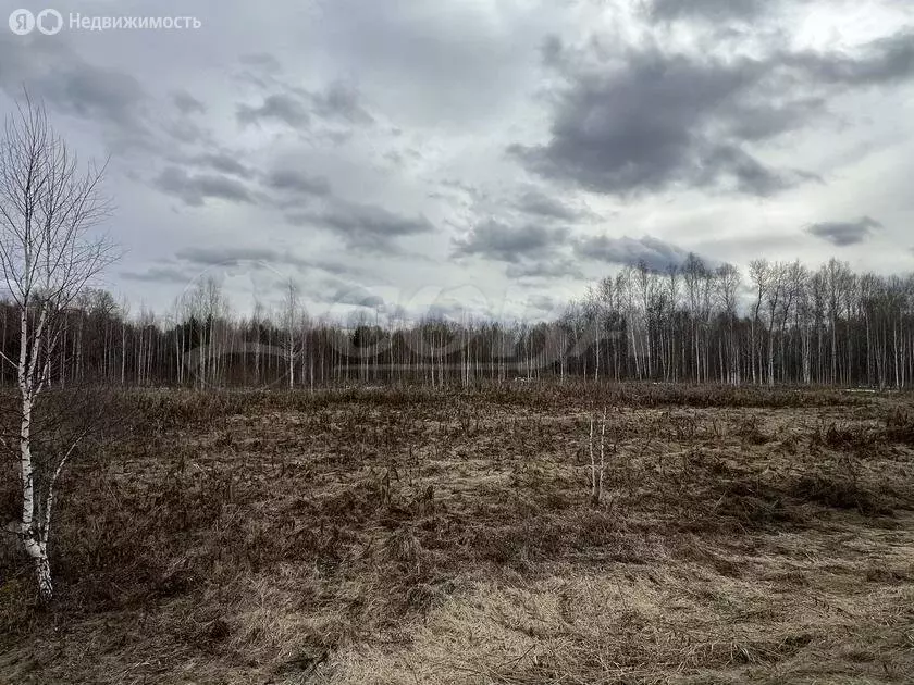 Участок в Тугулымский городской округ, деревня Мостовщики (34 м) - Фото 0