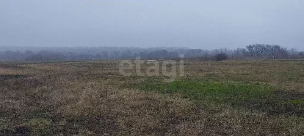 Участок в Белгородская область, Прохоровский район, с. Прелестное  ... - Фото 2