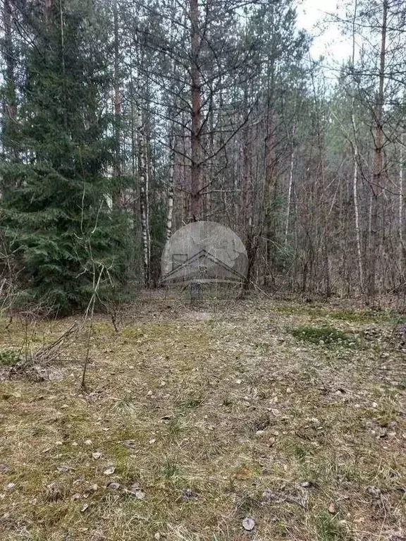 Участок в Новгородская область, Валдайский муниципальный район, ... - Фото 2