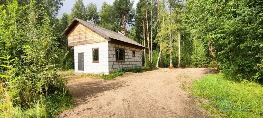 Участок в Ленинградская область, Приозерский район, Ларионовское ... - Фото 0