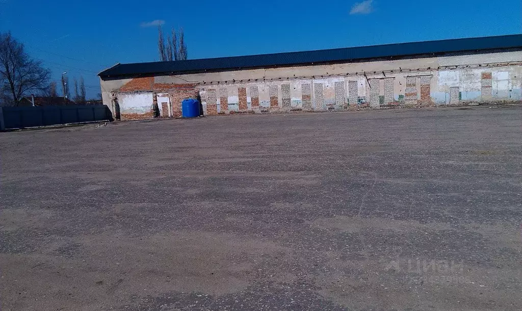 Склад в Воронежская область, Воронеж ул. Дубровина, 26 (5000 м) - Фото 2