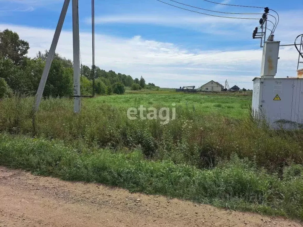 Участок в Амурская область, Благовещенский район, с. Грибское ул. ... - Фото 1